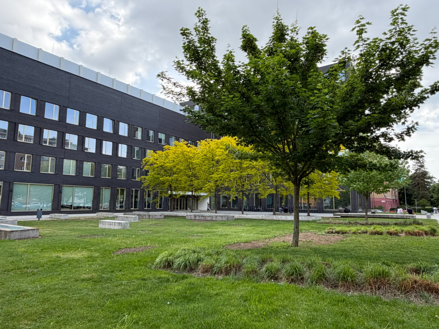 Brno is a city of students