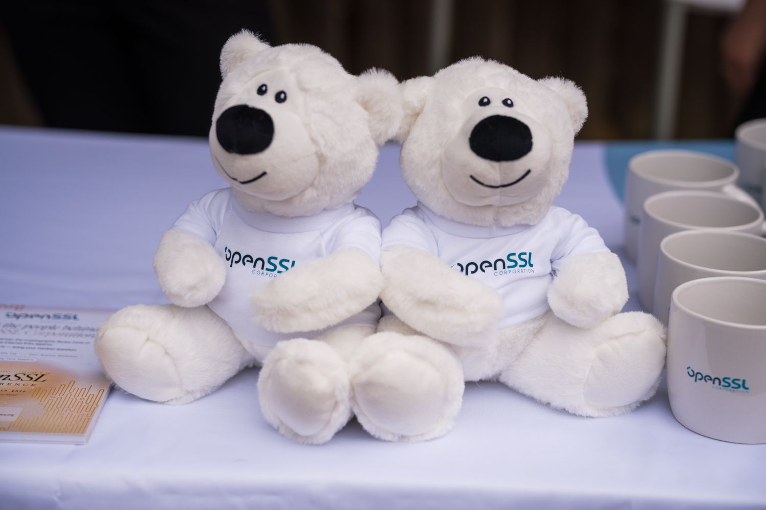 Two plush polar bears wearing OpenSSL Corporation t-shirts sit on the stand next to branded mugs.