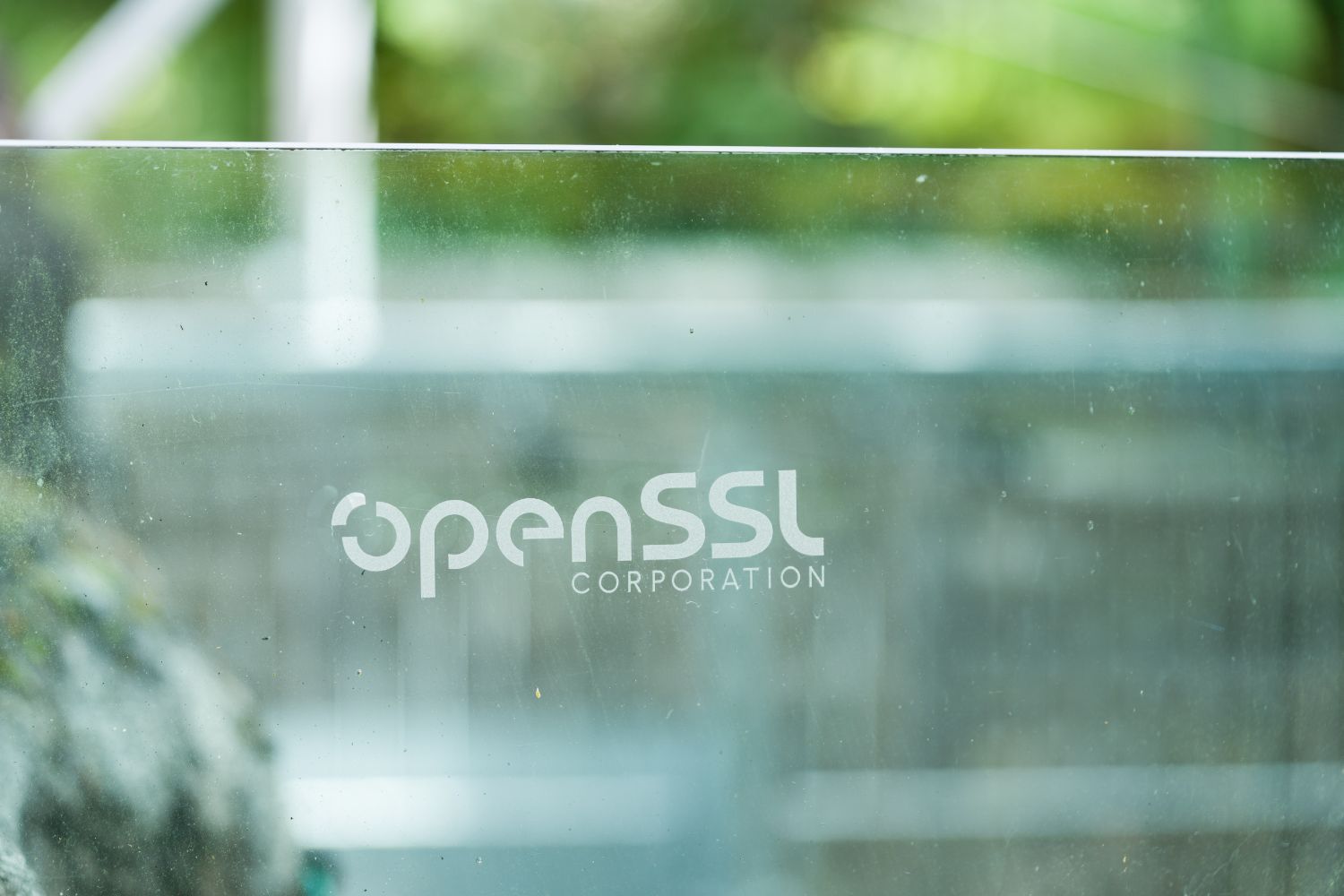 The OpenSSL Corporation logo etched on the glass of the polar-bear enclosure, greenery reflected behind it.