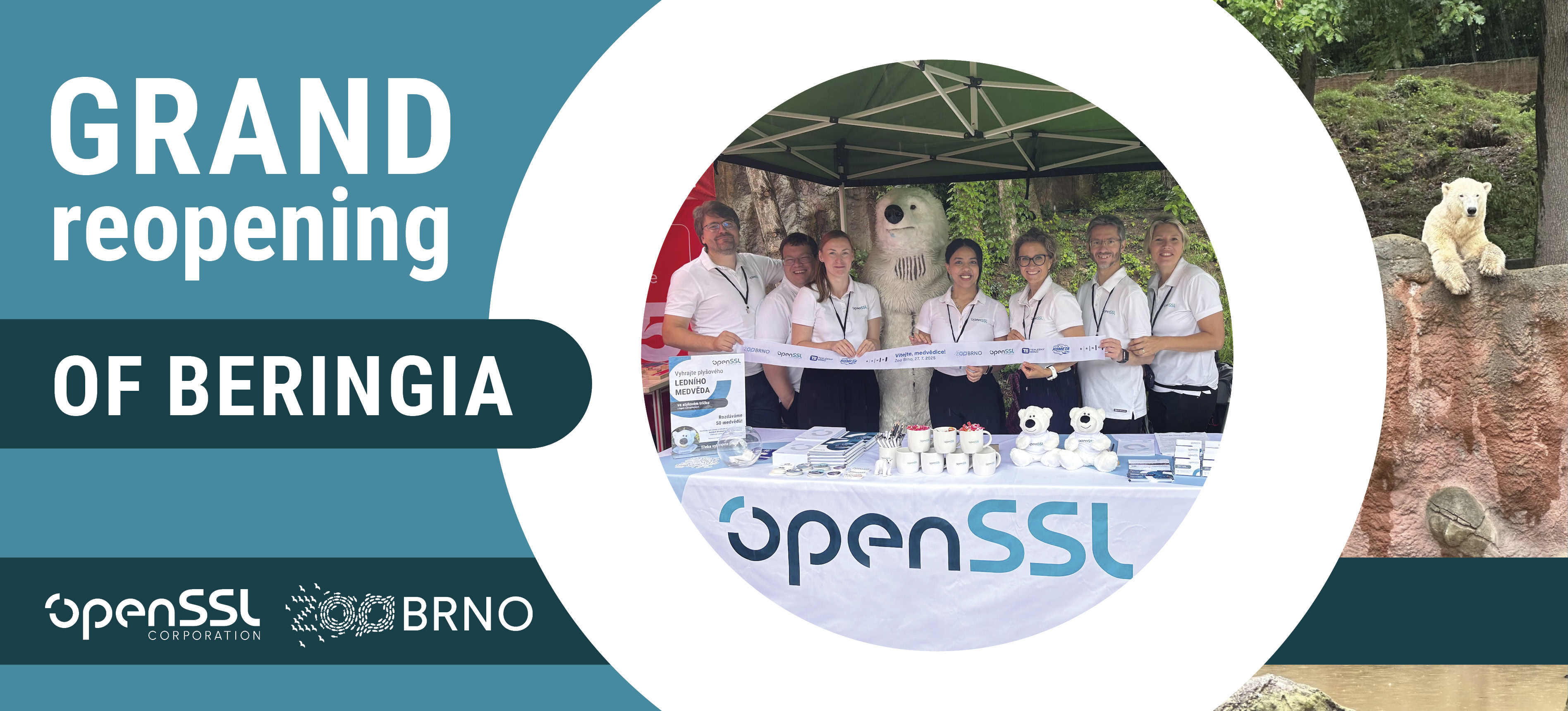 Bears Welcomed! A New Chapter for ZOO Brno 🐾